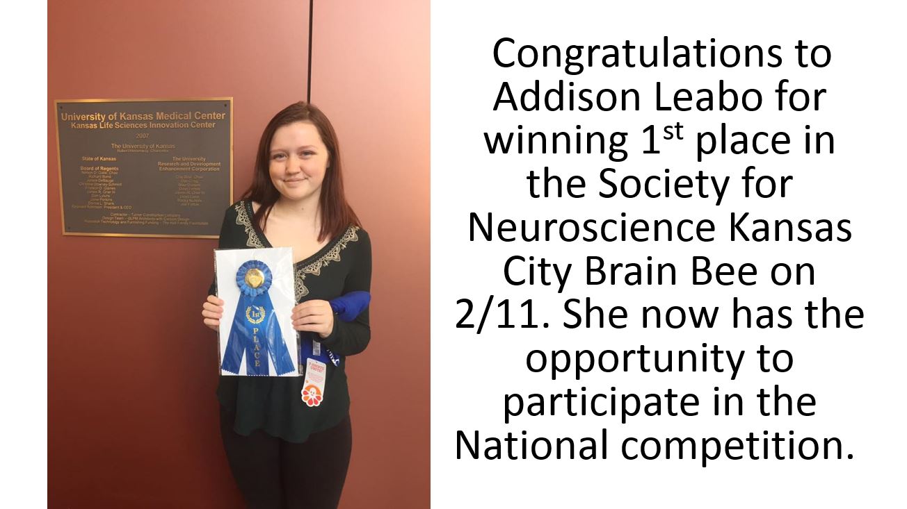 Addison Leabo Wins 1st Place in the Society for Neuroscience Kansas City Brain Bee