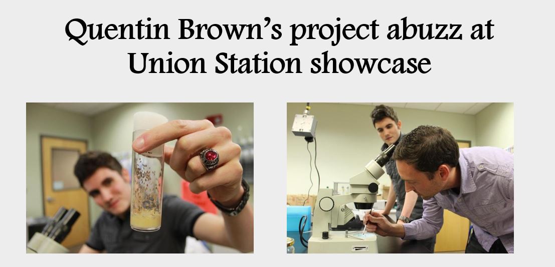 Quentin Brown’s project abuzz at Union Station showcase!