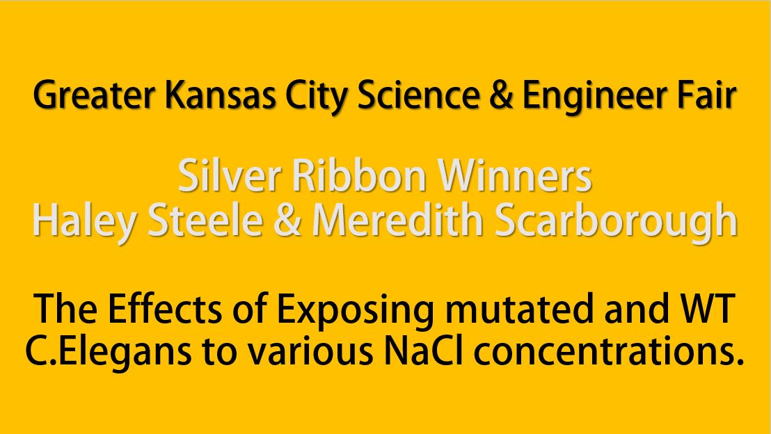 Greater KC Science Fair Winners